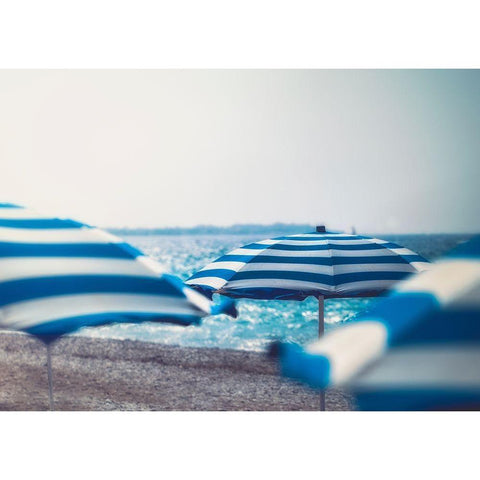 Summer Swim II Black Modern Wood Framed Art Print by Schenck, Robert
