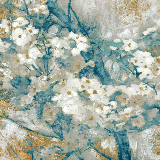 Image Only