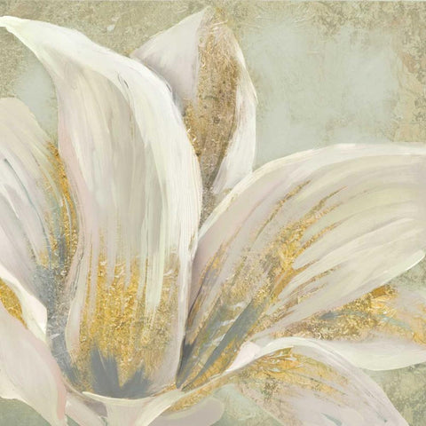 Fresh Bloom I Black Modern Wood Framed Art Print by Selkirk, Edward