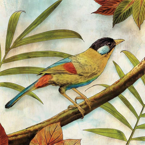 Jungle Bird I White Modern Wood Framed Art Print by Selkirk, Edward
