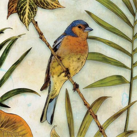 Jungle Bird II Black Modern Wood Framed Art Print by Selkirk, Edward