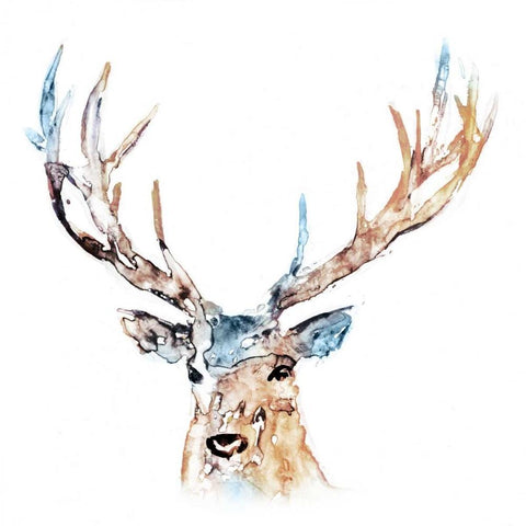 Watercolour Reindeer Black Ornate Wood Framed Art Print with Double Matting by Selkirk, Edward