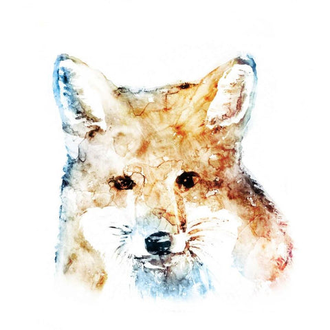 Watercolour Fox Black Modern Wood Framed Art Print with Double Matting by Selkirk, Edward