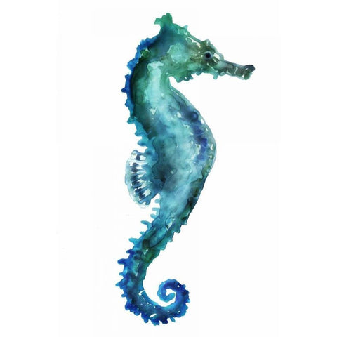 Sea Horse Black Modern Wood Framed Art Print with Double Matting by Selkirk, Edward