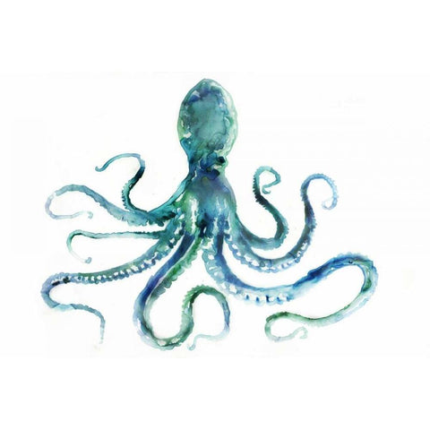Octopus Black Modern Wood Framed Art Print with Double Matting by Selkirk, Edward