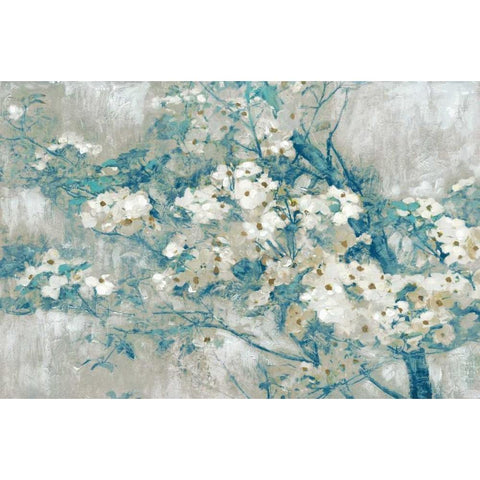 Dogwood Blooms Black Modern Wood Framed Art Print with Double Matting by Selkirk, Edward