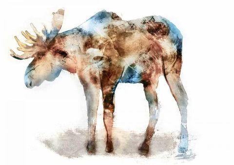 Moose White Modern Wood Framed Art Print with Double Matting by Selkirk, Edward