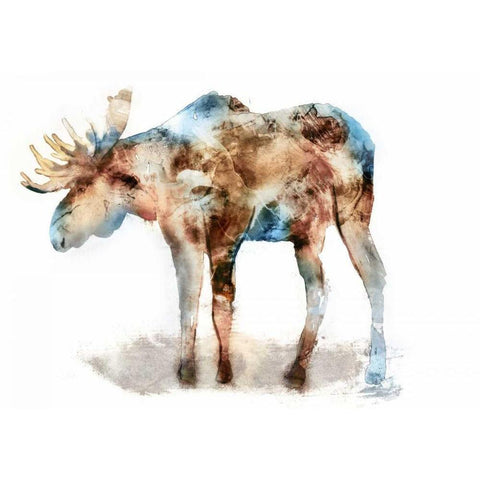 Moose Black Modern Wood Framed Art Print by Selkirk, Edward