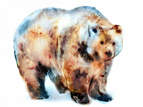 Bear Black Ornate Wood Framed Art Print with Double Matting by Selkirk, Edward