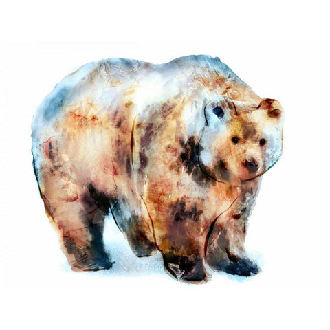 Bear Black Modern Wood Framed Art Print by Selkirk, Edward