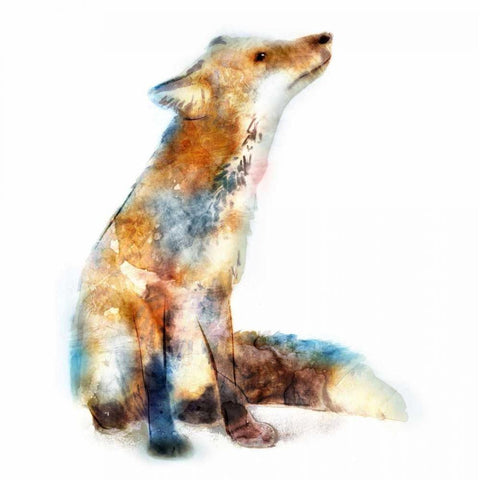 Fox Black Modern Wood Framed Art Print with Double Matting by Selkirk, Edward