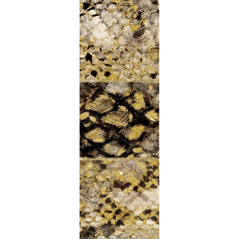 Snake Squares II Black Modern Wood Framed Art Print by Selkirk, Edward