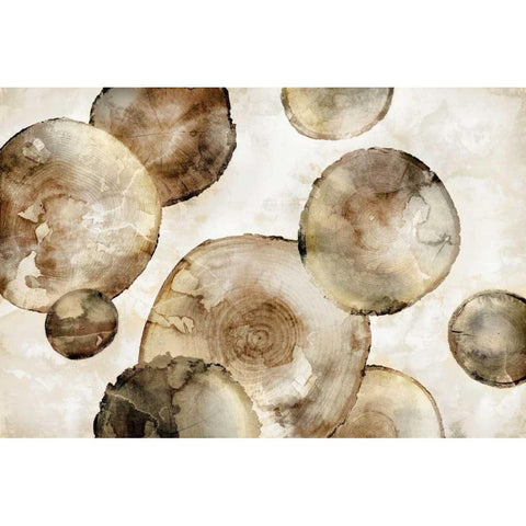 Tree Rings Black Modern Wood Framed Art Print with Double Matting by Selkirk, Edward
