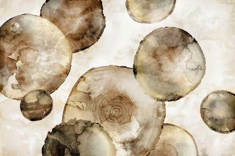 Tree Rings White Modern Wood Framed Art Print with Double Matting by Selkirk, Edward