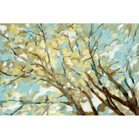 View From Below Black Modern Wood Framed Art Print with Double Matting by Selkirk, Edward