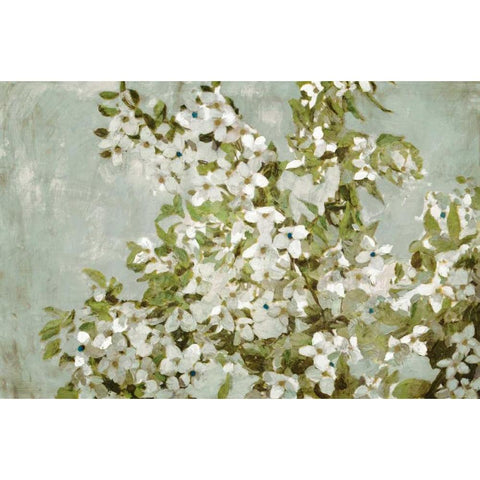 Mint Blossom Black Modern Wood Framed Art Print with Double Matting by Selkirk, Edward