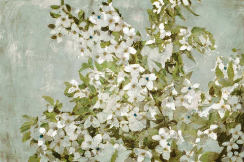 Mint Blossom White Modern Wood Framed Art Print with Double Matting by Selkirk, Edward