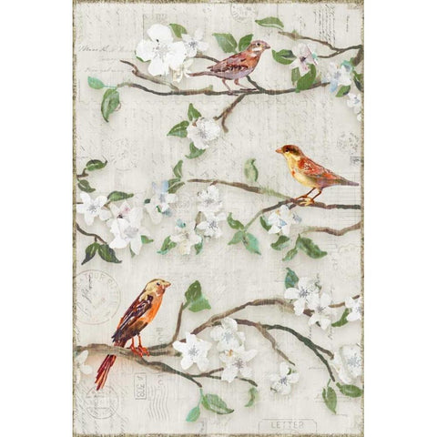 Songs of Blossoms II Black Modern Wood Framed Art Print with Double Matting by Selkirk, Edward