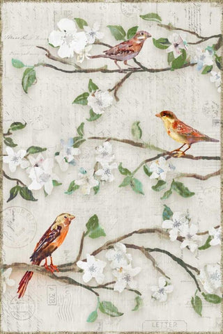 Songs of Blossoms II Black Ornate Wood Framed Art Print with Double Matting by Selkirk, Edward