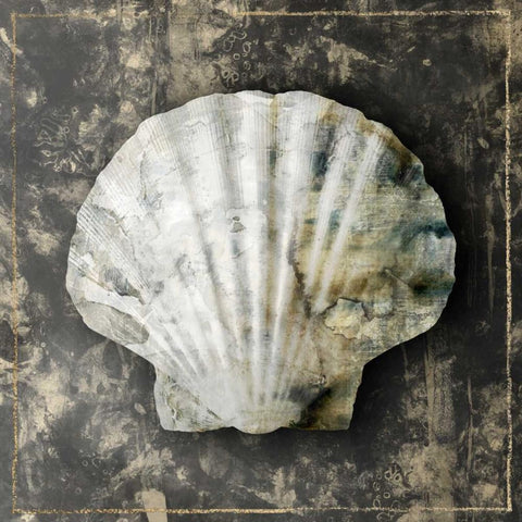 Marble Shell Series IV White Modern Wood Framed Art Print by Selkirk, Edward