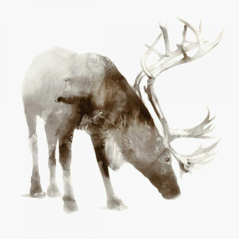 Caribou White Modern Wood Framed Art Print by Selkirk, Edward