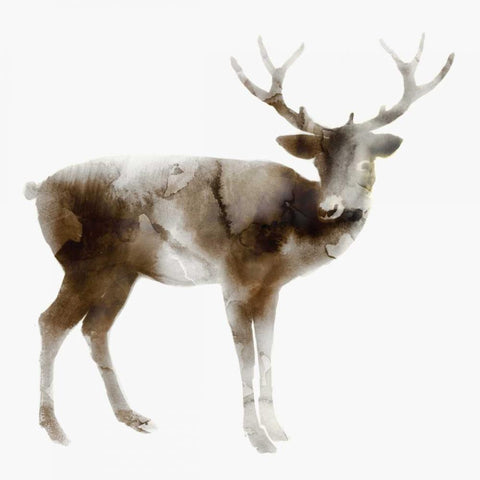 Stag Black Modern Wood Framed Art Print with Double Matting by Selkirk, Edward