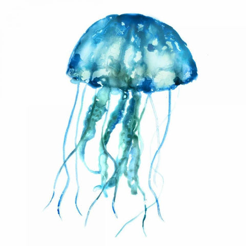 Jellyfish White Modern Wood Framed Art Print with Double Matting by Selkirk, Edward