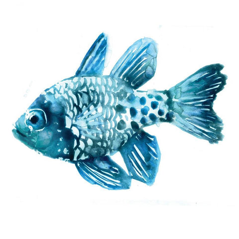 Fish II White Modern Wood Framed Art Print with Double Matting by Selkirk, Edward