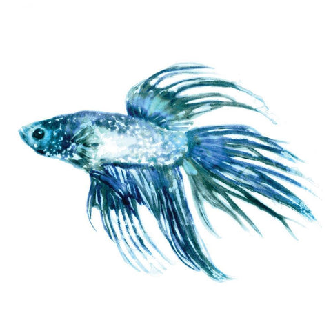 Fish III Black Modern Wood Framed Art Print with Double Matting by Selkirk, Edward