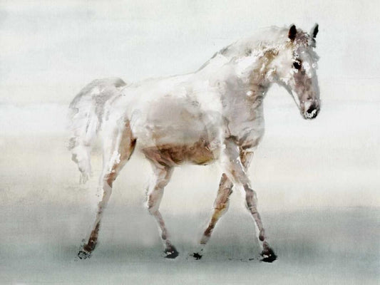 Image Only