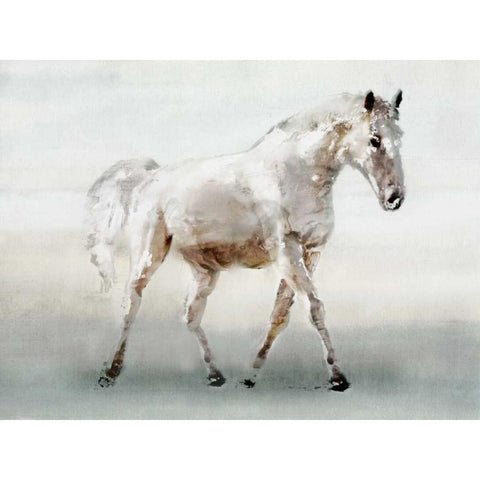 White Horse White Modern Wood Framed Art Print by Selkirk, Edward