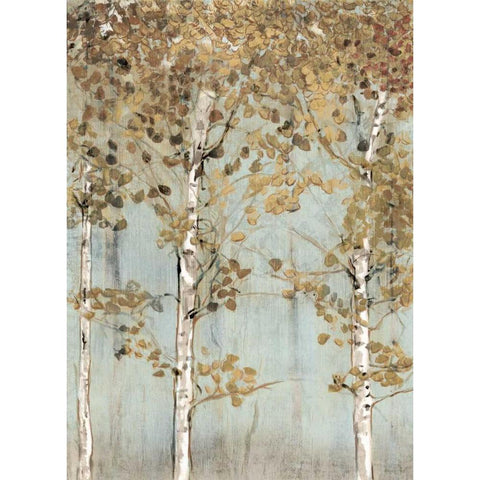 Soft Birch Black Modern Wood Framed Art Print with Double Matting by Selkirk, Edward