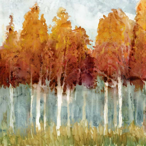 Birch II Black Modern Wood Framed Art Print with Double Matting by Selkirk, Edward