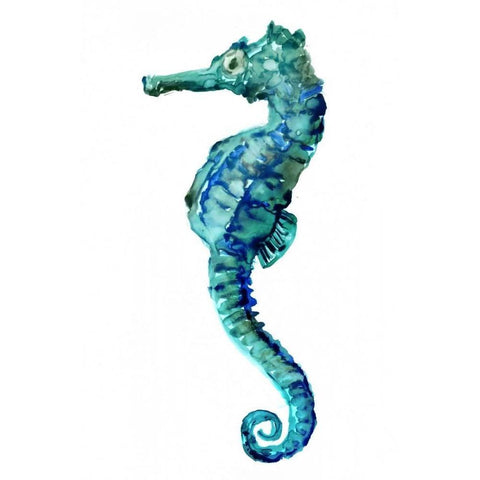 Sea Horse White Modern Wood Framed Art Print by Selkirk, Edward