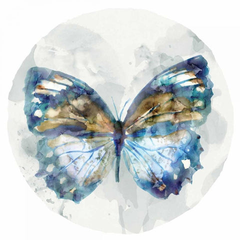 Indigo Butterfly I Black Modern Wood Framed Art Print with Double Matting by Selkirk, Edward