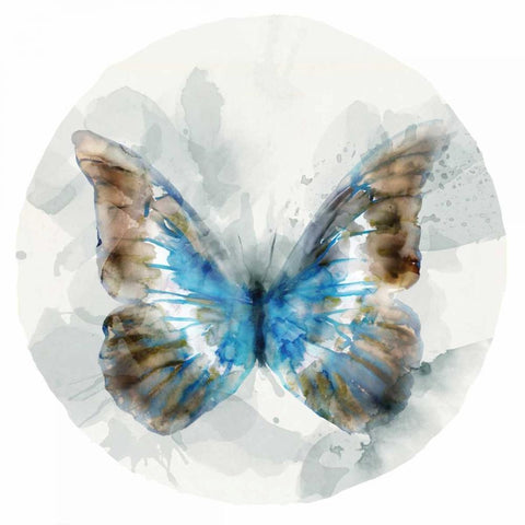 Indigo Butterfly II Black Modern Wood Framed Art Print by Selkirk, Edward