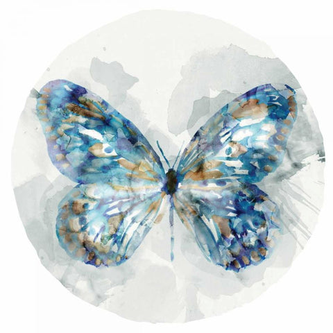 Indigo Butterfly III Black Ornate Wood Framed Art Print with Double Matting by Selkirk, Edward