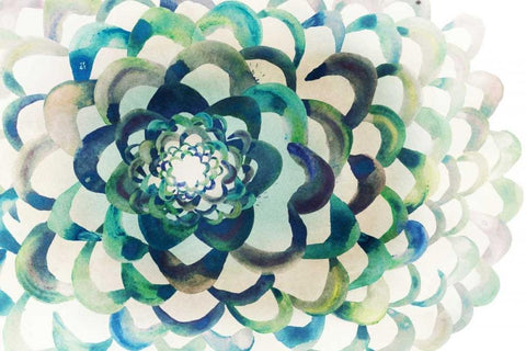 Lotus White Modern Wood Framed Art Print with Double Matting by Selkirk, Edward