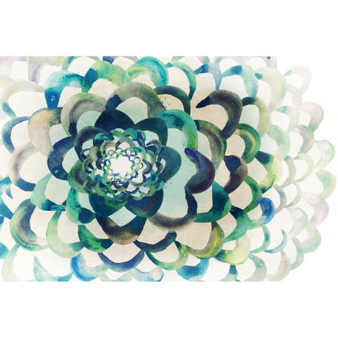 Lotus Black Modern Wood Framed Art Print by Selkirk, Edward