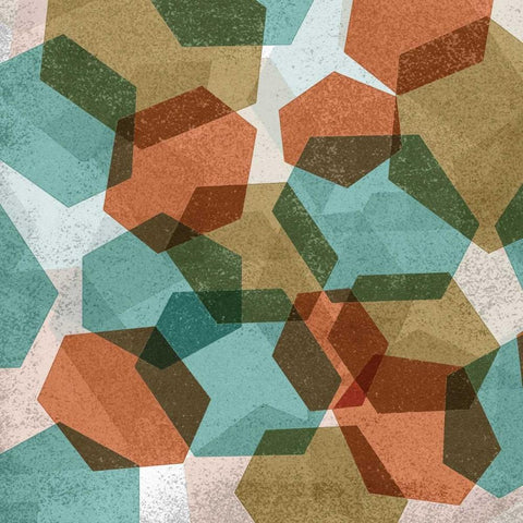Hexagon Composition II Black Ornate Wood Framed Art Print with Double Matting by Selkirk, Edward