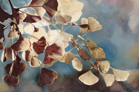 Maroon Blossom White Modern Wood Framed Art Print with Double Matting by Selkirk, Edward
