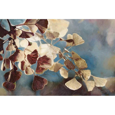 Maroon Blossom Black Modern Wood Framed Art Print by Selkirk, Edward