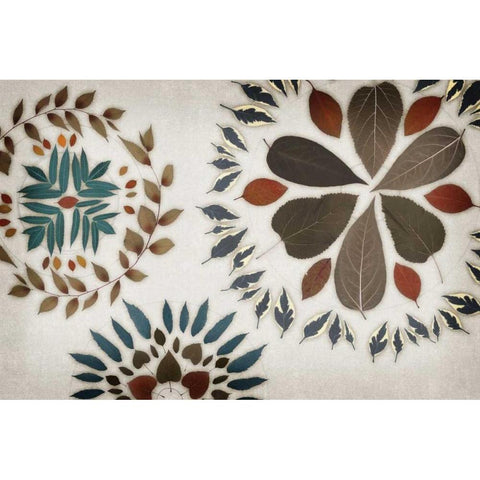 Garland I Black Modern Wood Framed Art Print by Selkirk, Edward