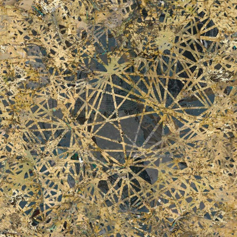 Tinge of Gold I Black Ornate Wood Framed Art Print with Double Matting by Selkirk, Edward
