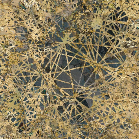 Tinge of Gold I Black Modern Wood Framed Art Print by Selkirk, Edward