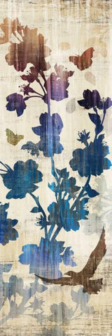 Wallflower Fantasy II White Modern Wood Framed Art Print with Double Matting by Selkirk, Edward
