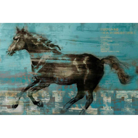 Spirit Black Modern Wood Framed Art Print by Selkirk, Edward