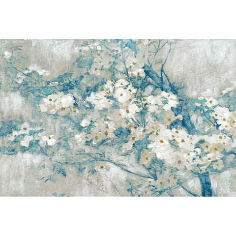 Dogwood Bloom Black Modern Wood Framed Art Print with Double Matting by Selkirk, Edward