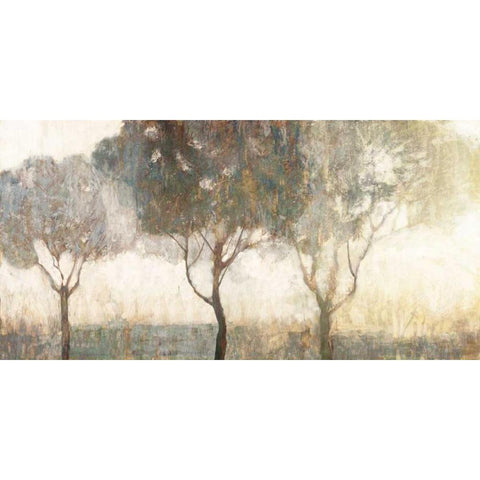 Dawn Black Modern Wood Framed Art Print with Double Matting by Edward Selkirk