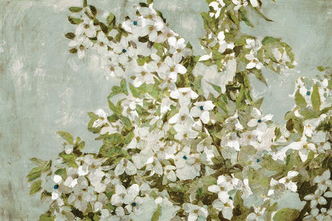 Mint Blossom Black Ornate Wood Framed Art Print with Double Matting by Selkirk, Edward